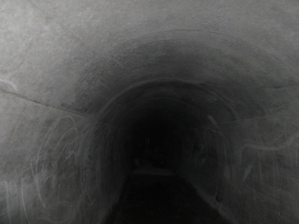 （十六）4#隧洞施工完工后的断面